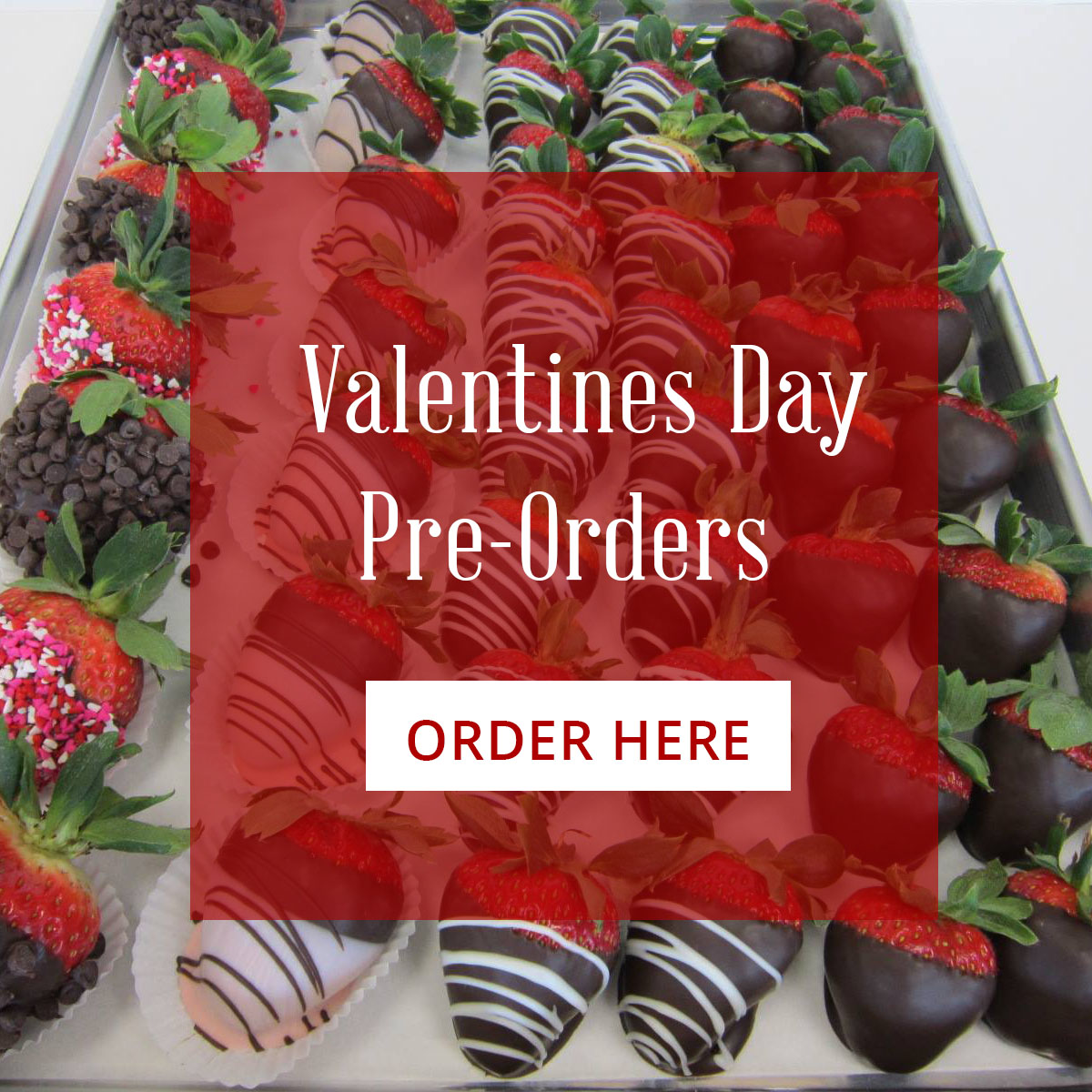 Premiere Cake Bakery Jacksonville NC American Dream Cakes