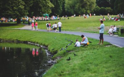 Top Day in the Park Desserts Picks