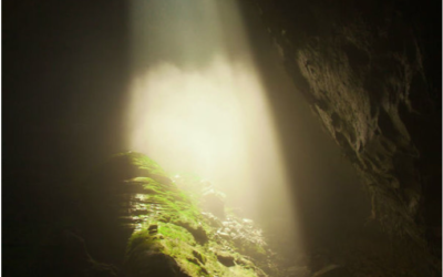 3 Extraordinary aand Creative Wedding Proposals To Inspire