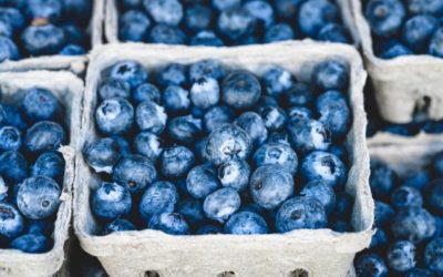 4 Refreshing Summer Desserts