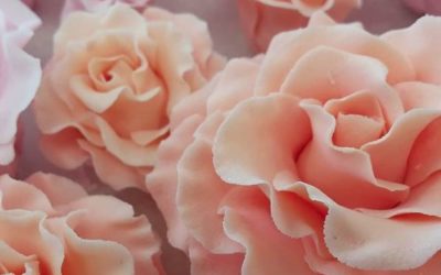 Boho Themed Cake 2019 Trends